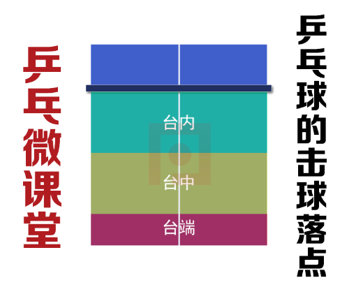 《乒乓微课堂》乒乓球的击球线路和击球落点 3 乒乓微课堂,乒乓球的击球线路,乒乓球的击球落点,击球,乒乓球